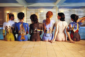 Poster Pink Floyd Back Catalogue 91,5x61cm