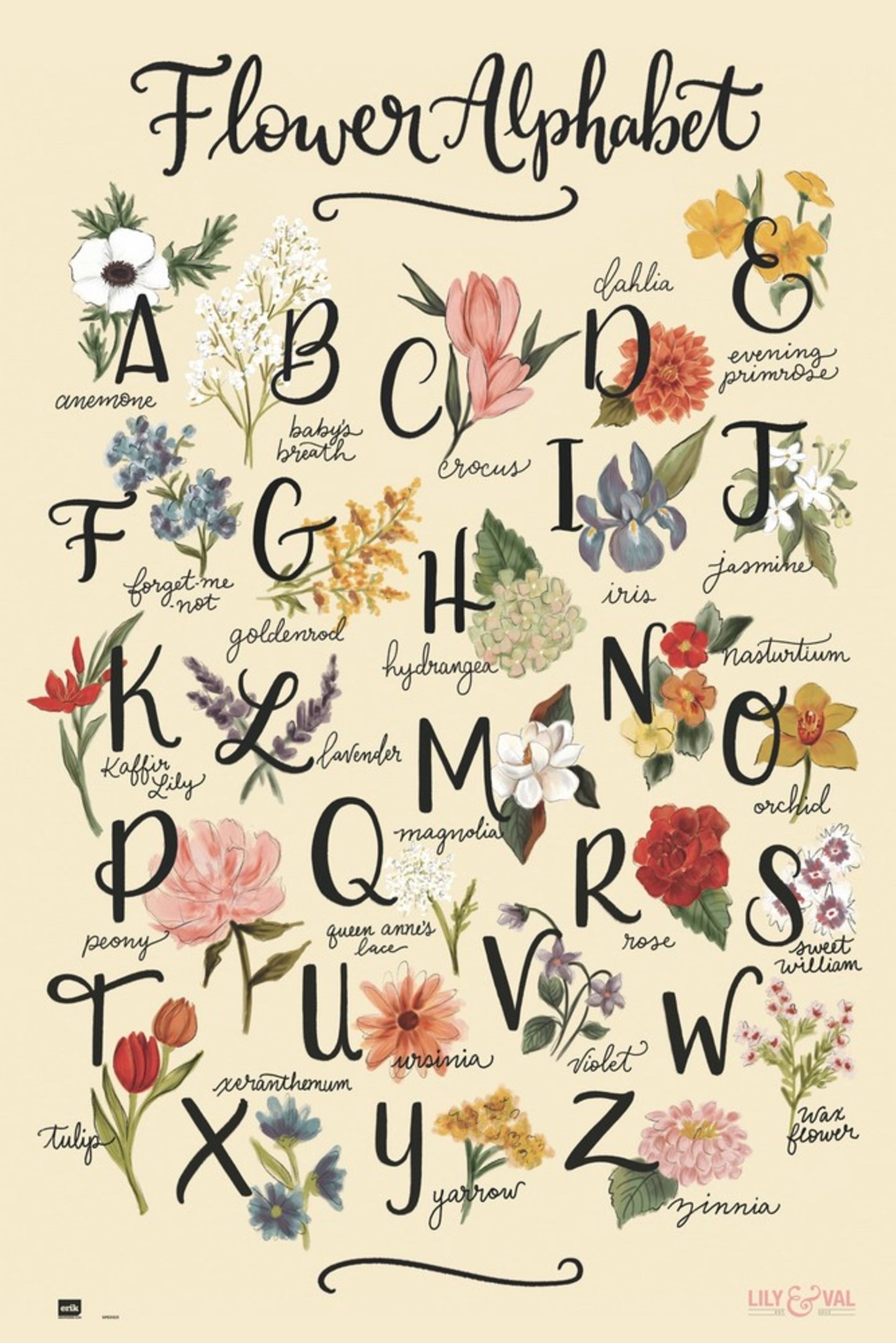 Poster Lily and Val Flowers Alphabet 61x91,5cm