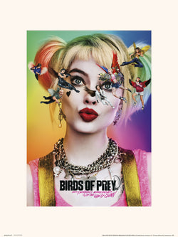 Kunstdruk Birds of Prey Dazed and Confused 30x40cm