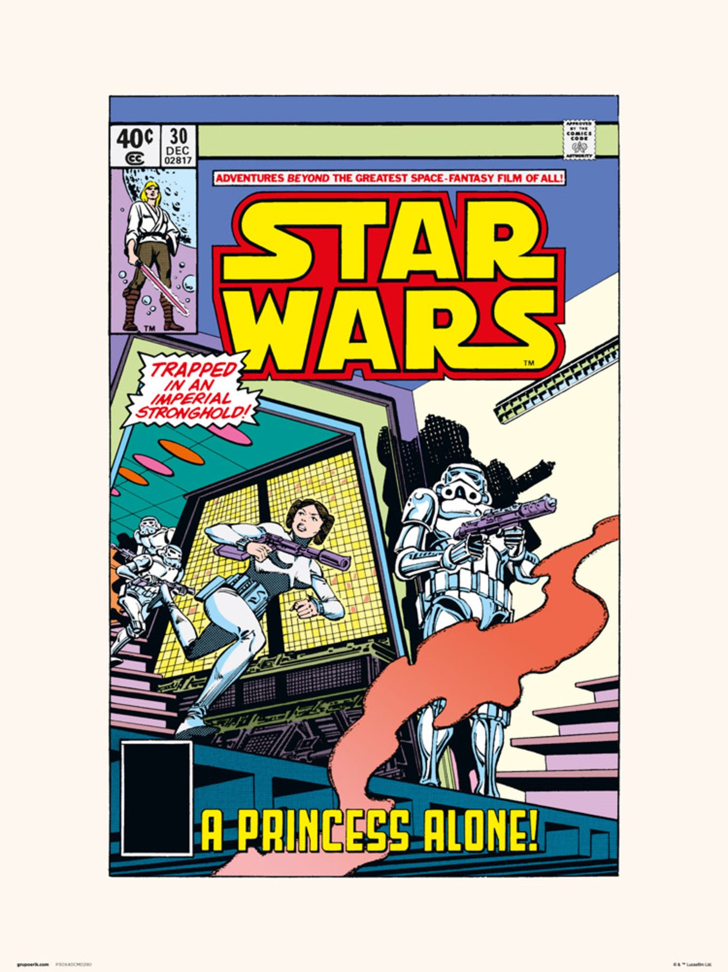Kunstdruk Star Wars 30 A Princess Alone 30x40cm