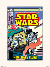 Kunstdruk Star Wars 30 A Princess Alone 30x40cm