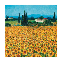 Kunstdruk Hazel Barker - Farm near Siena 61x61cm