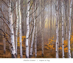 Kunstdruk Charles Cramer - Aspen in Fog 76x66cm
