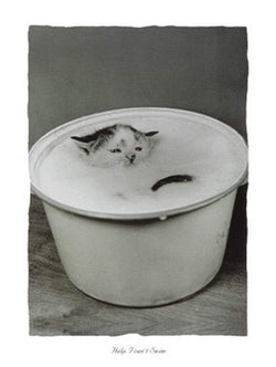 Kunstdruk B. Creative - Help I can't swim 30x40cm