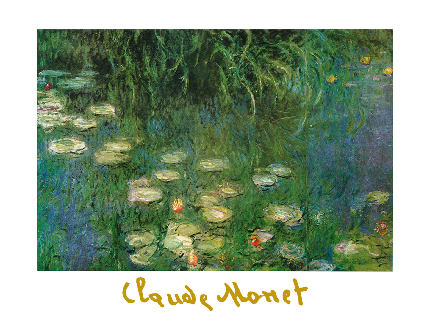 Kunstdruk Claude Monet - Ninfee dell'Orangerie 80x60cm