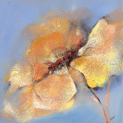 Kunstdruk Elena Filatov - Bright Anemone I 50x50cm