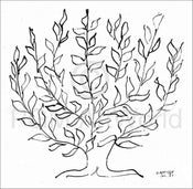 Kunstdruk Henri Matisse - Le platane 100x100cm