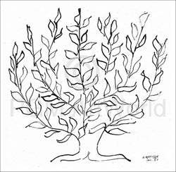 Kunstdruk Henri Matisse - Le platane 100x100cm