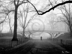 Kunstdruk Henri Silberman - Gothic Bridge, Central Park NYC 80x60cm