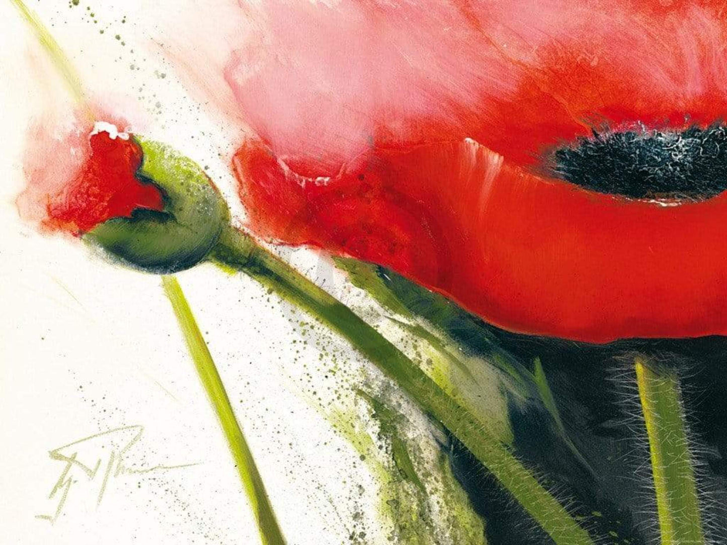 Kunstdruk Gerd Pflumm - Faszination Mohn I 80x60cm