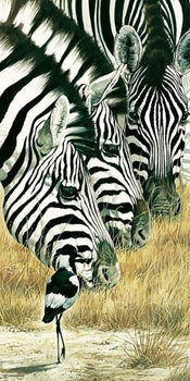 Kunstdruk Renato Casaro - Black and White 50x100cm