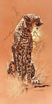 Kunstdruk Renato Casaro - Cheetah 50x100cm