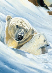 Kunstdruk Renato Casaro - Eisbär-Mama 50x70cm