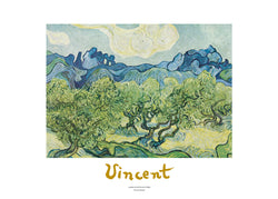 Kunstdruk Vincent Van Gogh - Landscapes with olive trees 70x50cm