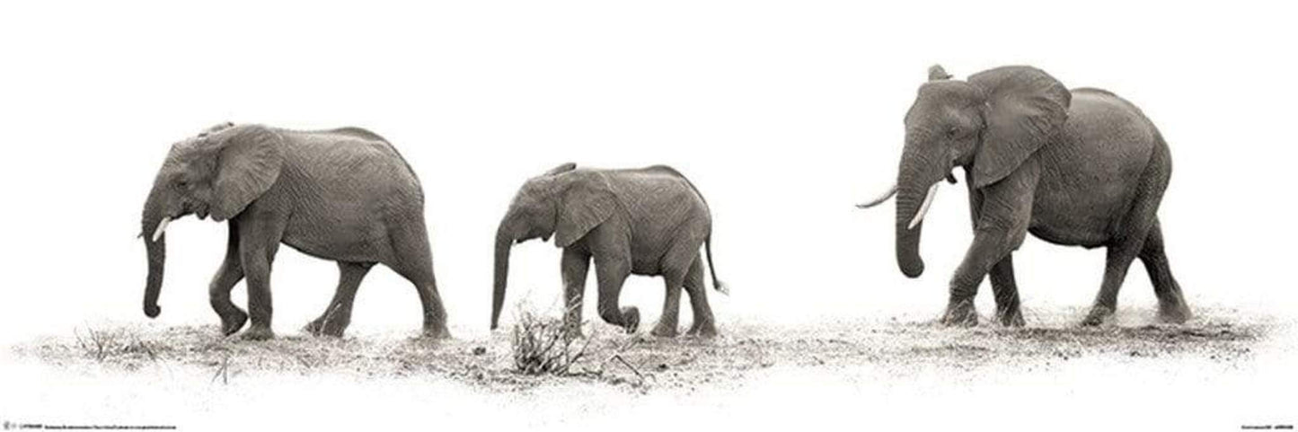 Poster Mario Moreno The Elephants 91,5x30,5cm