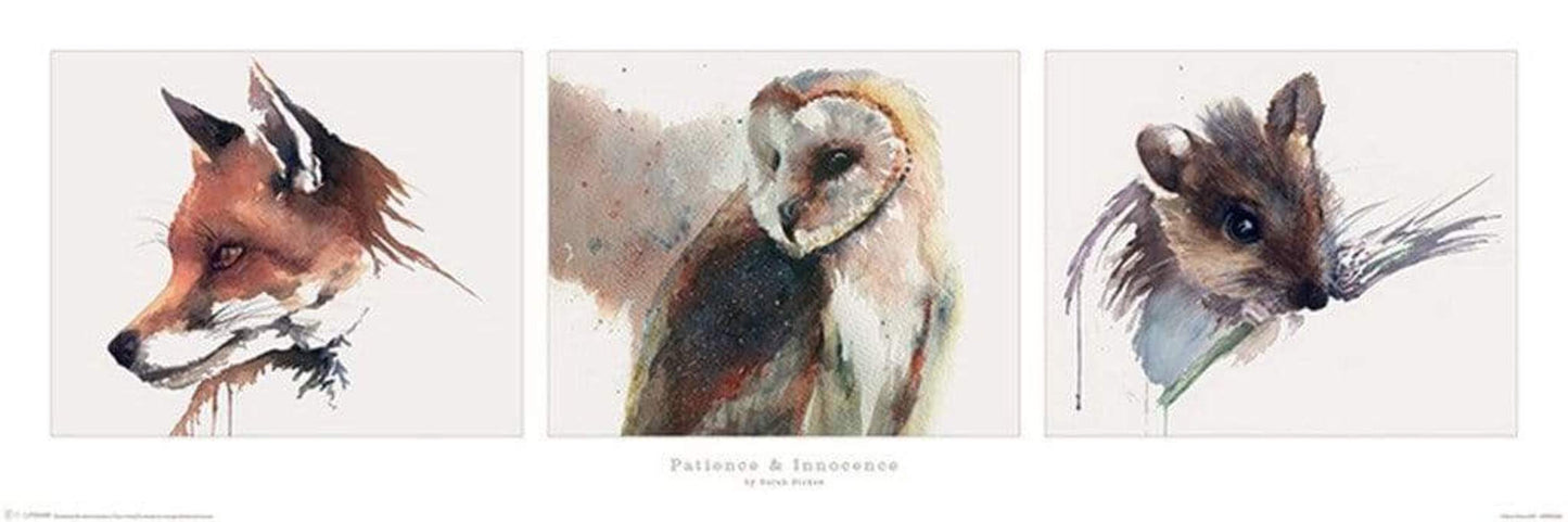 Poster Sarah Stokes Patience and Innocence 91,5x30,5cm