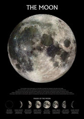 Poster The Moon Phases 61x91,5cm