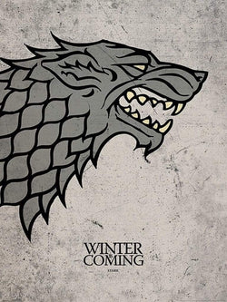 Kunstdruk Game of Thrones Stark 60x80cm
