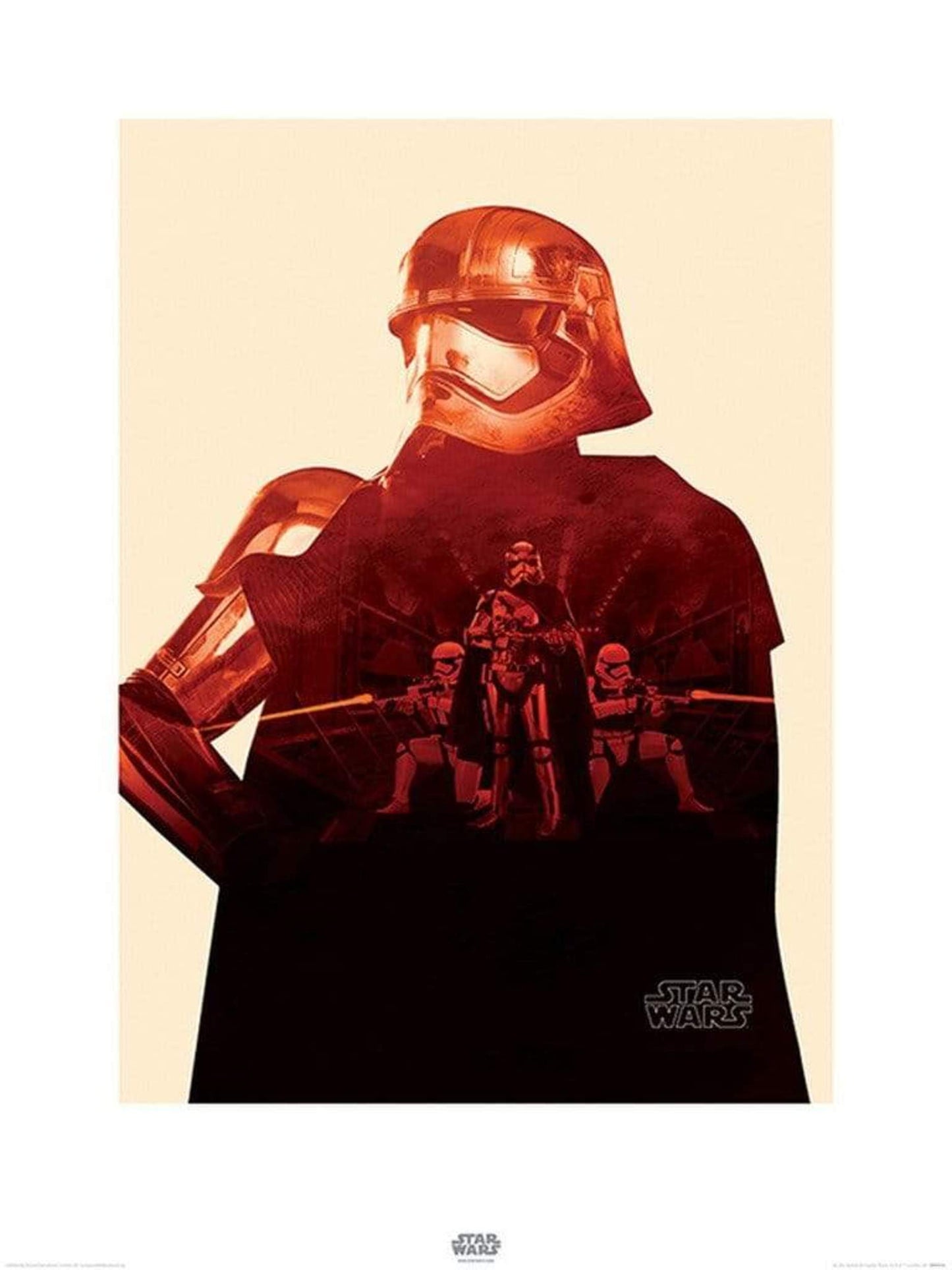Kunstdruk Star Wars Episode VII Captain Phasma Tri 60x80cm