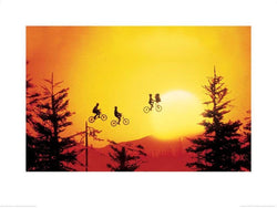 Kunstdruk ET Sunset 80x60cm