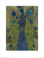 Kunstdruk Valentina Ramos - The Peacock 30x40cm