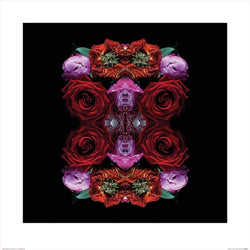 Kunstdruk Alyson Fennell - Paradise of Petals 60x60cm