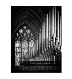 Organ Black & White Kunstdruk