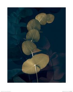 Dark Tropics I Art Print Ian Winstanley 40x50cm