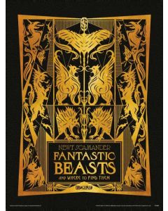Fantastic Beasts The Crimes of Grindelwald Art Print 30x40cm