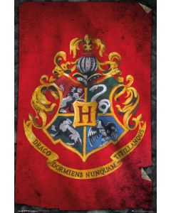 Harry Potter Zwijnstein Poster 61x91.5cm