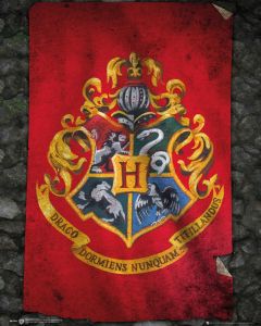 Harry Potter Zweinstein Vlag Poster 40x50cm