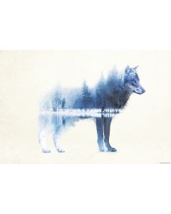 Forest Wolf Poster 61x91.5cm