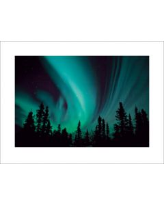 Northern Lights Art Print 60x80cm