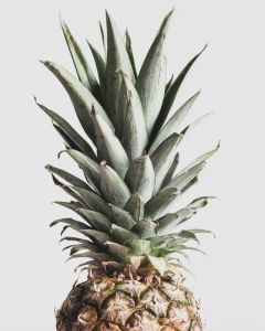 Pineapple Kunstdruk