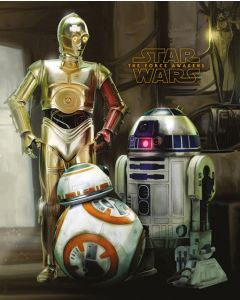 Star Wars Episode VII Droids Together Poster 40x50cm