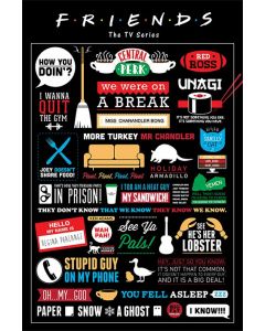 Friends Infographic Poster 61x91.5cm