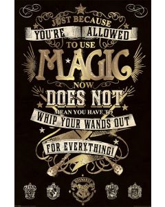 Poster Harry Potter Magic Poster 61x91.5cm