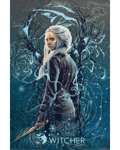 The Witcher Ciri the Swallow Poster 61x91.5cm
