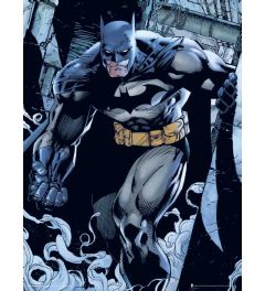 Batman Prowl Art Print 30x40cm