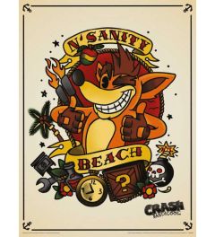 Crash Team Racing N. Sanity Beach Art Print 30x40cm