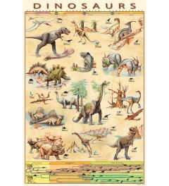 Dinosaurus Evolutie Poster 61x91.5cm