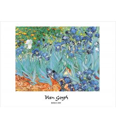 Van Gogh Irises Kunstdruk 60x80cm