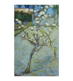 Van Gogh Pear Tree Blossoms Kunstdruk 60x80cm