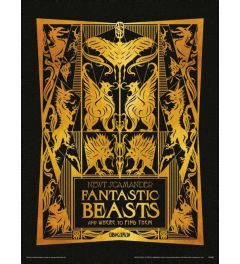 Fantastic Beasts The Crimes of Grindelwald Art Print 30x40cm