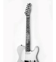 Fender Telecaster White Kunstdruk