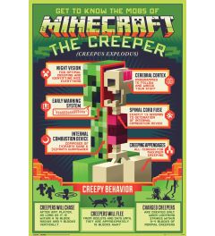 Minecraft Creepy Behaviour Poster 61x91.5cm