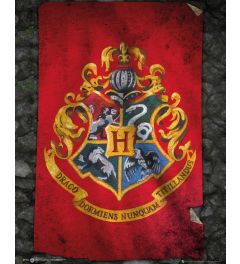 Harry Potter Zweinstein Vlag Poster 40x50cm