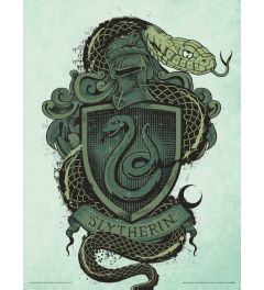 Harry Potter Slytherin Art Print 30x40cm