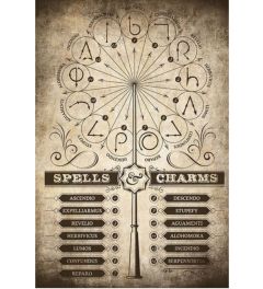 Harry Potter Spells & Charms Poster 61x91.5cm