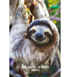 Eat, Sleep, Be Happy, Repeat Poster 61x91.5cm